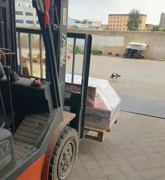 24V 200Ah Lithium Iron Phosphate Forklift Battery